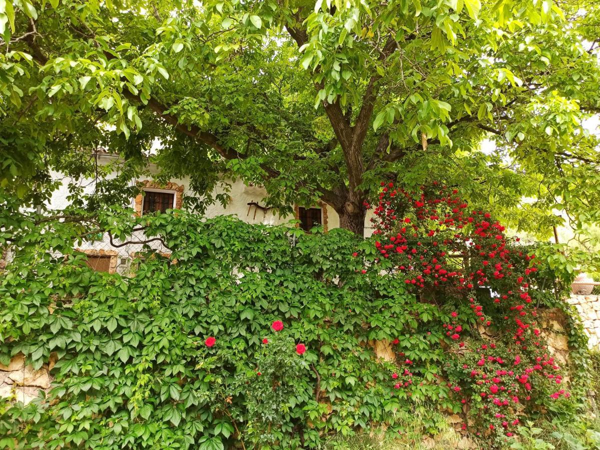 Cortijo Ramon Petra Casa de hóspedes Nerpio Exterior foto